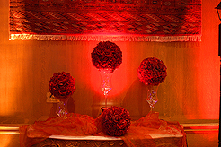 BIG BROTHERS BIG SISTERS GALA